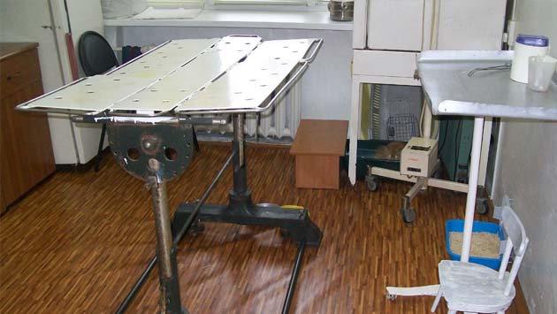 ветеринарная лечебница