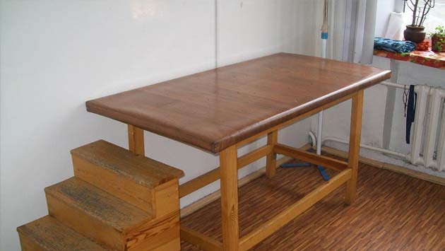 кастрация и стерилизация животных