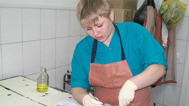 ветклиники новокузнецк